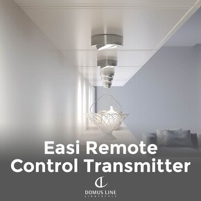 Easi Remote Control Transmitter - International competition