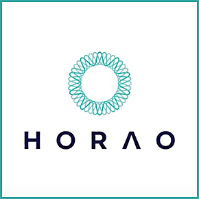 HORAO – The It Doesn’t Take a Brain Surgeon Challenge