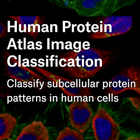 Human Protein Atlas Image Classification