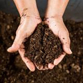 Innovative Sustainable Soil Remediation Methods