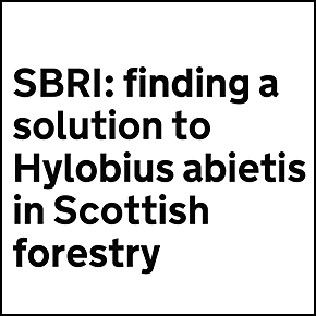 SBRI:Finding a Solution to Hylobius Abietis in Scottish Forestry