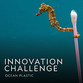 The Ocean Plastic Innovation Challenge