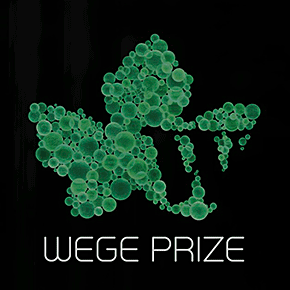 Wege Prize 2018