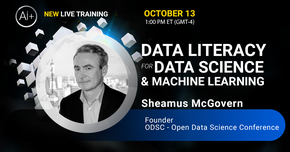 Data Literacy for Data Science & Machine Learning