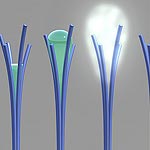 Accidental Nanorods Harvest Water from Air