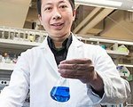 Altering E. coli to Produce Non-Toxic Dye