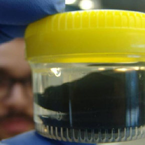 Bacteria-Built Thermoelectric Material