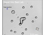 Bacteria-Powered Microbots