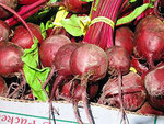 Beets—Not Just for Salad Anymore