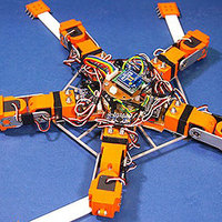 Bioinspried Robot Adapts to Damage