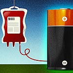 Blood Molecule Leads to Better Batteries