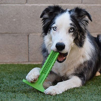 Bristly Dog Toothbrush Lets Pets Do the Work