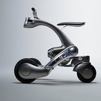 CanguRo Cargo/People Mover Smart Scooter