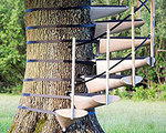 CanopyStair Straps Steps to the Trees