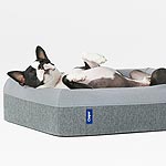 Caper Dog Bed Gives Pets a Better Sleep