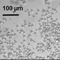 Cellulose-Based Biodegradable Microbeads