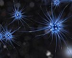 Computer Chip Harnesses Real Brain Cells