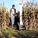 Crop Phenotyping Robot Gathers Plant Data