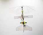 DelFly Flapping, Intelligent Micro Air Vehicle