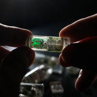E. Coli-Powered Chip Detects Stomach Bleeding