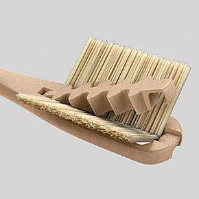 Eco-Friendly Toothbrush has Changeable Bristles