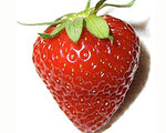 Edible Coating Extends Strawberry Shelf Life