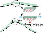 Elastic Patch Releases Drugs When Stretched