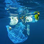 EnviGreen Edible Plastic bags