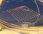 First 3D Printed Skin Stem Cells