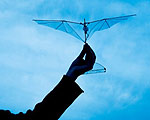 Folding Wings Lead to Sturdier Drones