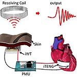 Generating Electricity from Heartbeats