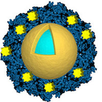 Gold Nanoshells Release Chemo on Command