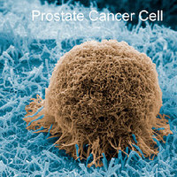 Hairy Slides Capture Tumor Cells