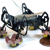 HAMR Robot Can Walk On Top Of or Under the Water