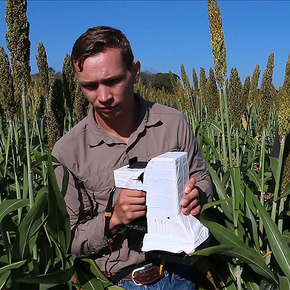 Handheld Sensor Tests Plants in the Field