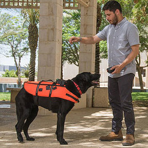 Haptic Vest Guides Rescue Dogs