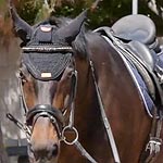 HorseCom Calming Headset for Horses