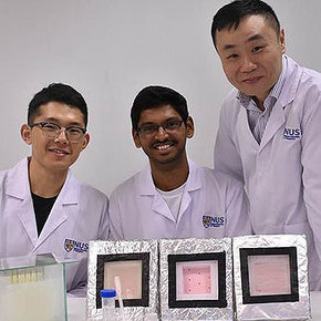 Hydrogel Harvests Fresh Water with Sunlight