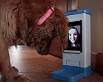 iCPooch Video Chat for Dogs
