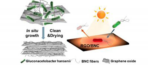 Bacteria-Built Filter Resists Biofouling