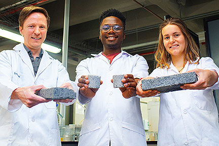 Biological Bricks Made of Urine