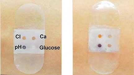Biosensor Bandage Tests Sweat to Monitor Health