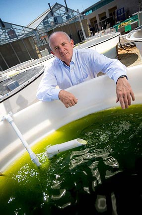 Genetically Engineered Algae for Food and Fuel
