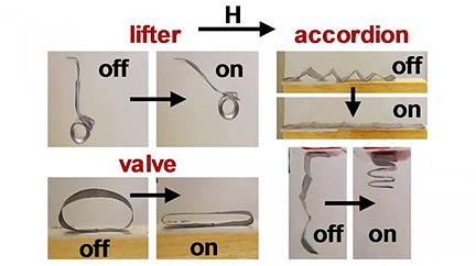 Magnetically Controlled Soft Robots