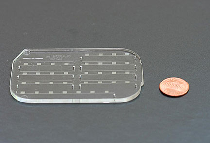 Microfluidic Device Detects Lyme Disease in Minutes
