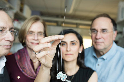 MiNDS Needle Delivers Precise Doses to the Brain