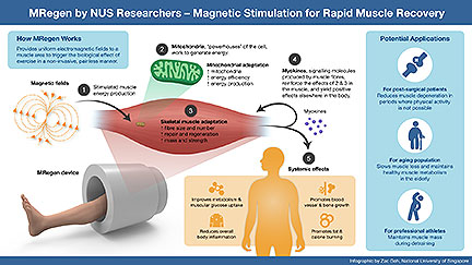MRegen Heals Muscles with Magnets