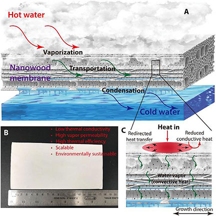 Nanowood Filter Improves Desalination