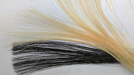 Non-toxic Graphene-Based Hair Dye