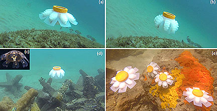 Robotic Jellyfish Could Monitor Coral Reefs